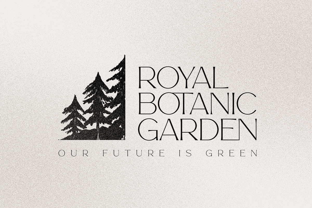 Story Type elegant typeface 18 fonts, a Serif Font by VP Fonts (Photo 9 of 16)