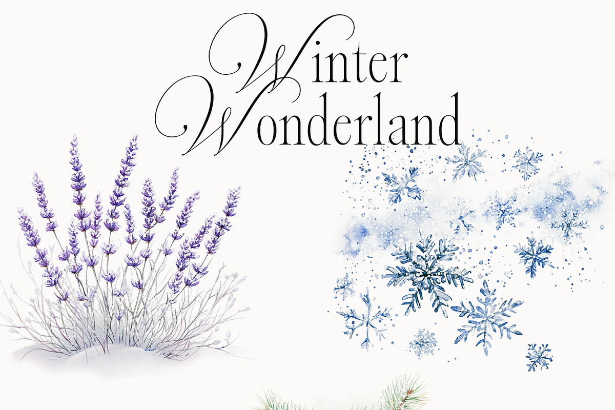 New! Winter Christmas Edition, a Seasonal Illustration by Isabelle Salem (Photo 129 of 227)