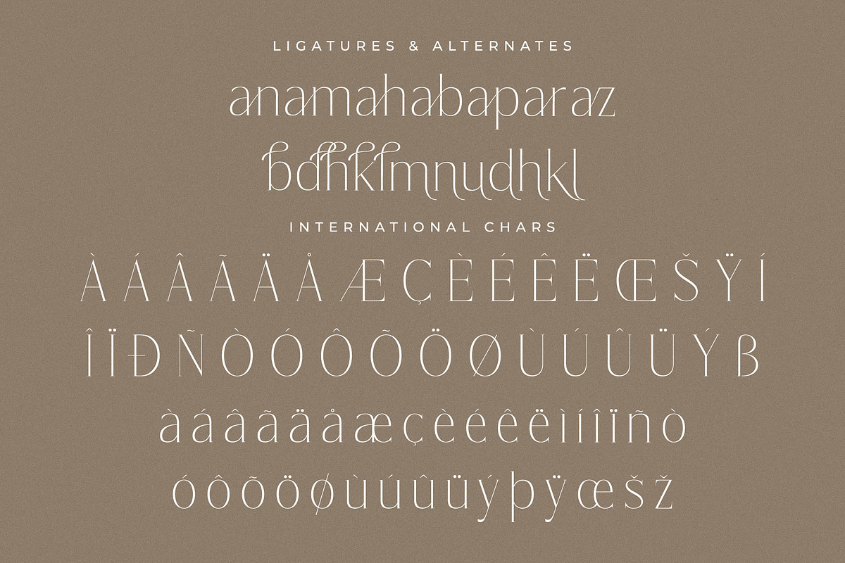 Lisandra A Modern Font Serif, a Serif Font by Storytype Studio (Photo 14 of 15)