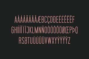 Braden Sans Font Family