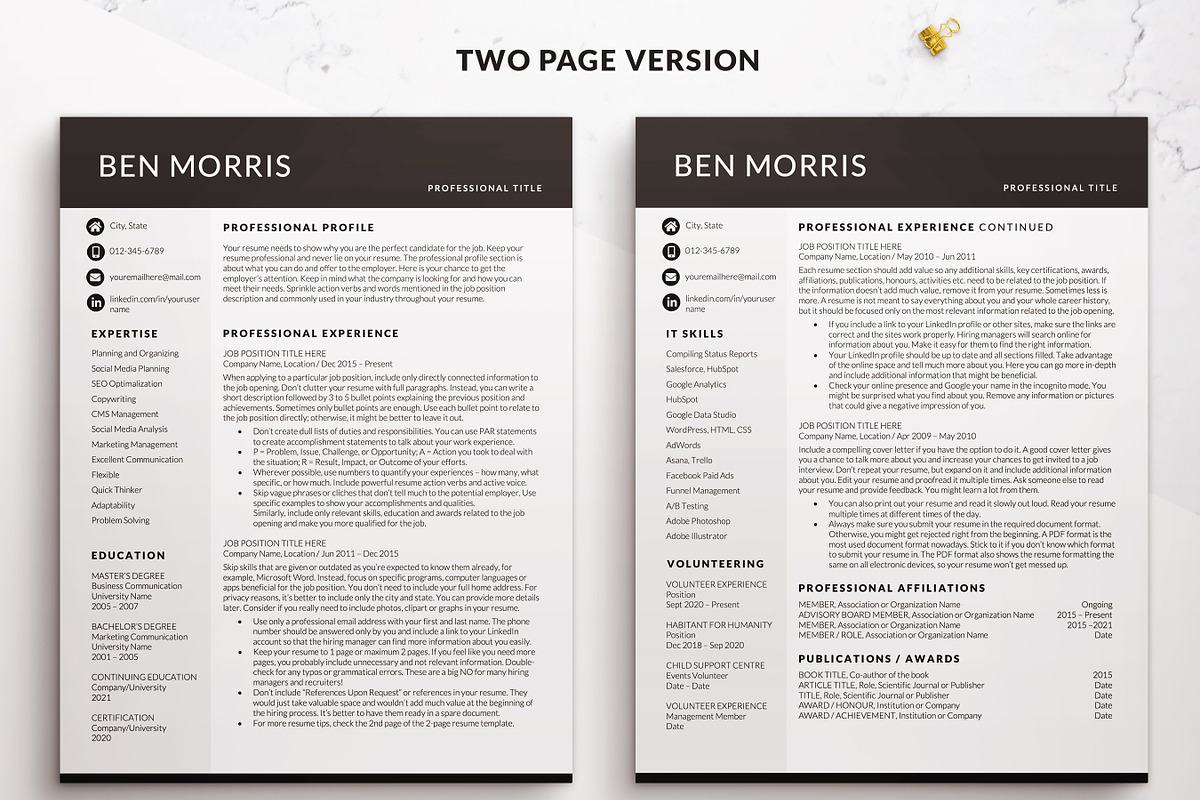 Business Modern Resume / CV Template, a Resume Template by BestResumes.Co (Photo 2 of 9)