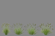 Shrub 2, an Environmental 3D Model by AndrewWhite (Thumbnail 6 of 14)