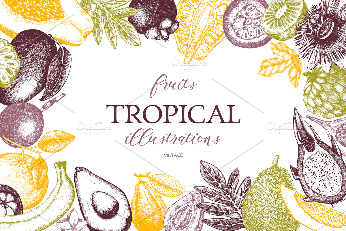 Vintage Tropical Fruit Sketches, a Food Illustration by Yevheniia (Photo 1 of 8)