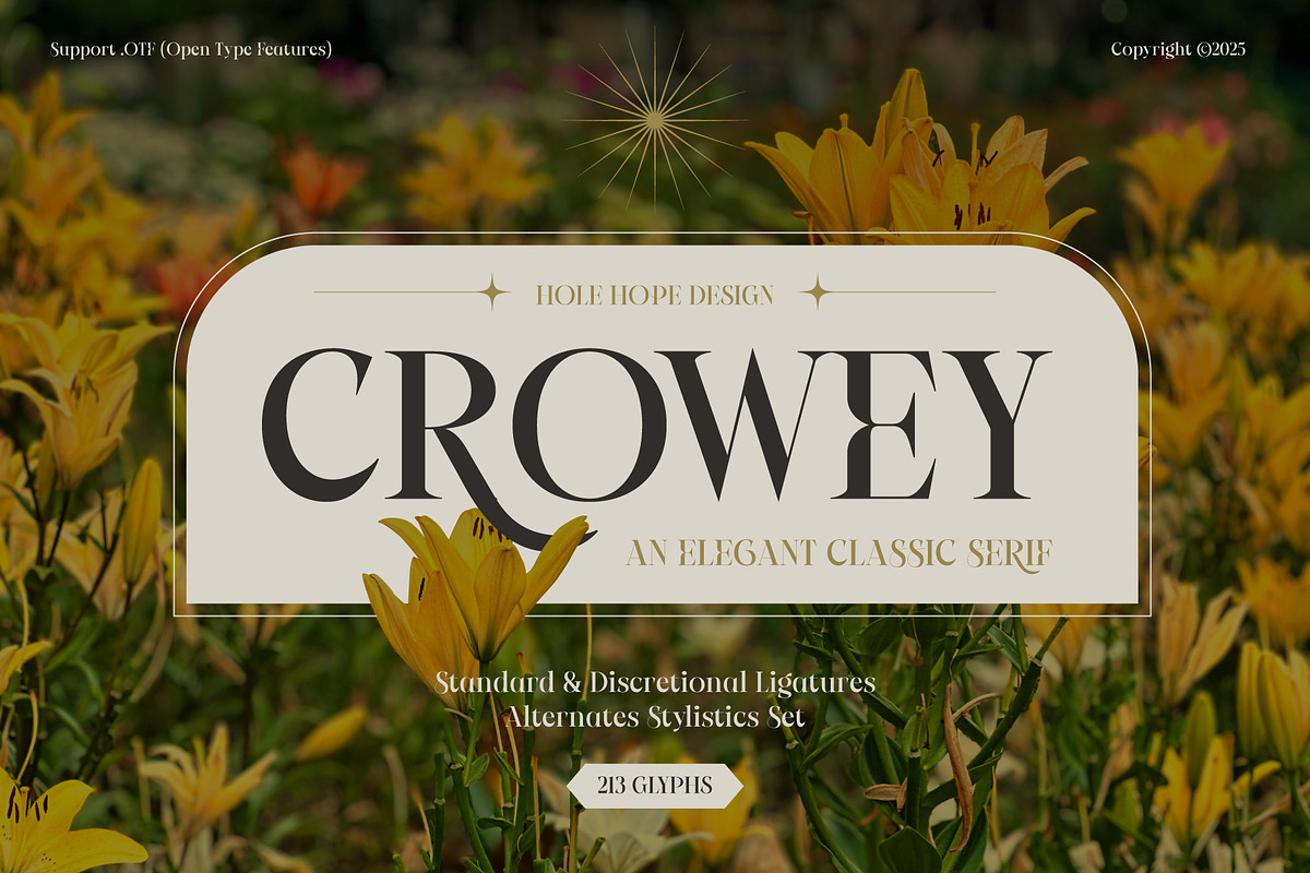 Crowey | Elegant Classic Serif Font, a Serif Font by Hole Hope Design (Photo 1 of 10)