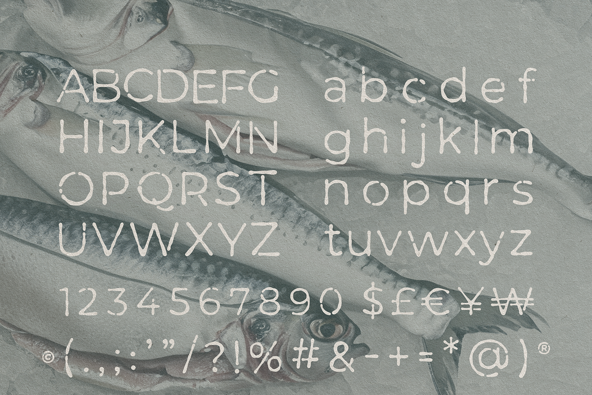 MOCCEL TYPEFACE, a Sans Serif Font by Naturaworks Creative (Photo 2 of 4)