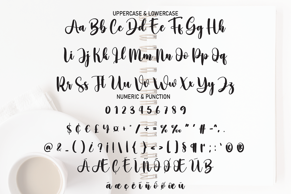 Daily Book | Script Font, a Script Font by Scratchones (Photo 3 of 8)
