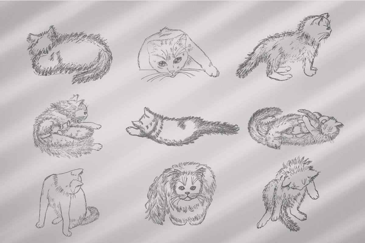 Vintage Bundle 2500+ Free Update, an Animal Illustration by Retro Machine (Photo 84 of 170)