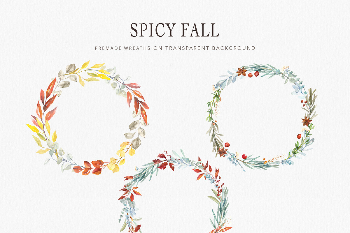 Spicy Fall herbs & berries, a Decorative Illustration by Volha Studio (Photo 5 of 9)