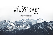 Wildy Sans, a Sans Serif Font by Dikas Studio (Thumbnail 1 of 6)