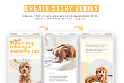 Pets Instagram Story Posts, a Social Media Template by Cultive Creative (Thumbnail 5 of 10)