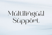 Atega - Stylish Luxury Logo Font, a Serif Font by Sealoung (Thumbnail 8 of 10)