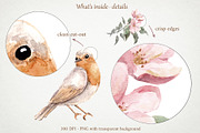 Apple Blossom Watercolor Clipart Set, a Seasonal Illustration by Where summer is (Thumbnail 4 of 14)