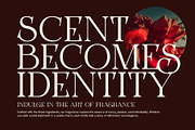 Jorde Logotype Serif Font, a Serif Font by Perfectype (Thumbnail 5 of 8)