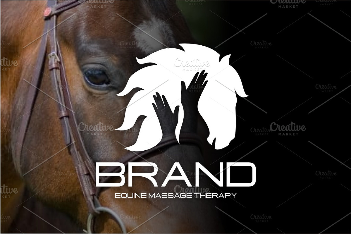 EQUINE MASSAGE THERAPY