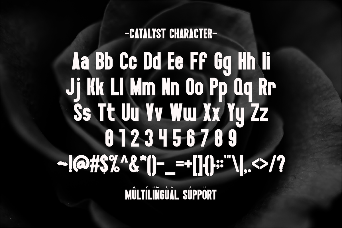 Catalyst - Condensed Sans Serif, a Sans Serif Font by Pian45 Studio (Photo 7 of 8)