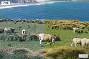 1980s Photo Actions for Photoshop, an Action Add-On by Guerillacraft (Thumbnail 4 of 12)