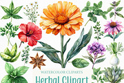 Watercolor Herbal Clipart Bundle, an Illustration by Craft Nest (Thumbnail 1 of 6)