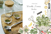 Watercolor Herbs and Spices, a Food Illustration by MayaNavits (Thumbnail 5 of 13)