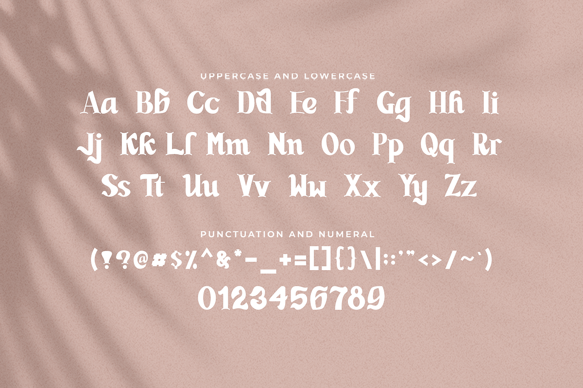 Hougthon - Modern Handwritten Serif, a Handwritten Font by overlaytemplates (Photo 4 of 5)