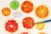 Watercolor Citrus Clipart Collection, a Food Illustration by Olga Begak Art & Design (Thumbnail 2 of 10)