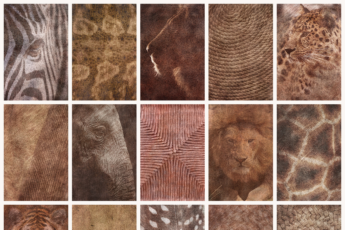 Vestige · Primal Earth Backgrounds, a Background Graphic by alonahaidash (Photo 10 of 16)