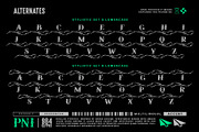 Soullar Typeface, a Serif Font by alit design (Thumbnail 12 of 20)