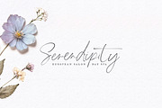 Tallulah Signature Script, a Script Font by Callie Rian & Co. (Thumbnail 4 of 17)