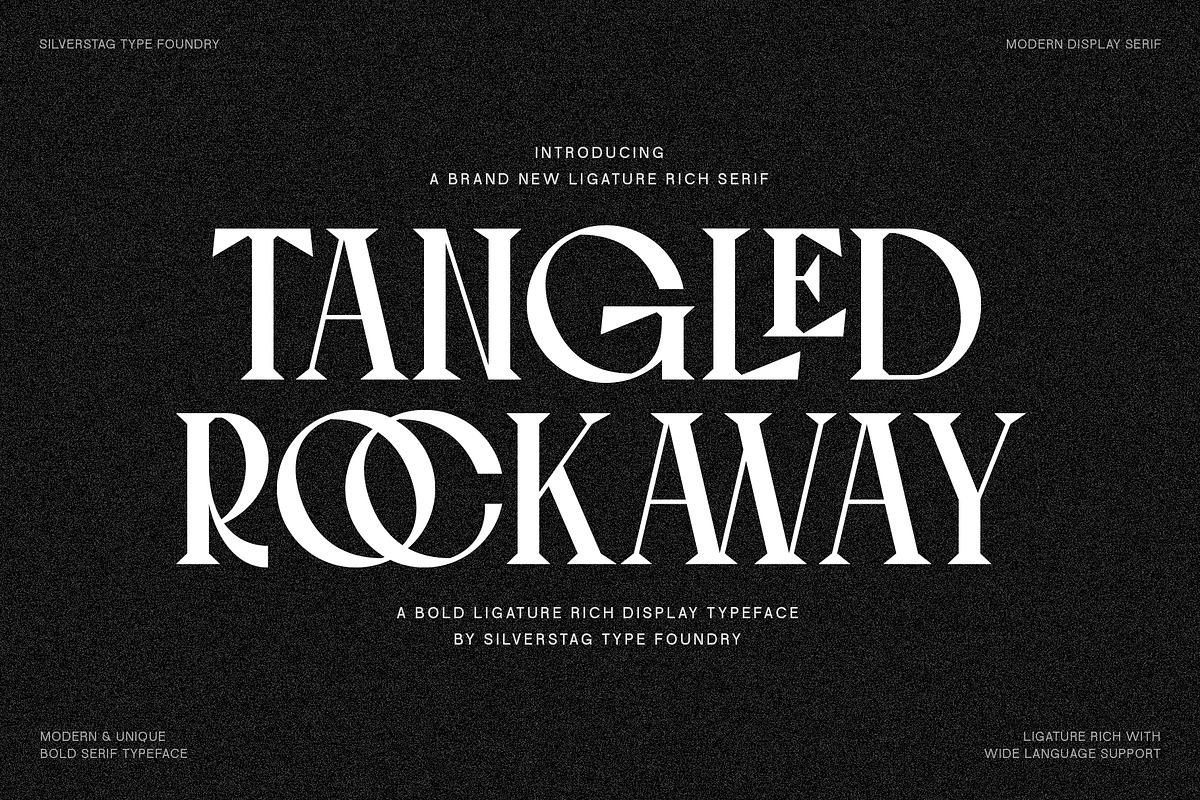 Tangled Rockaway Vintage Serif Font, a Serif Font by SilverStag Type Foundry (Photo 1 of 18)
