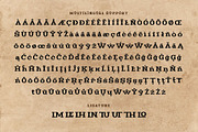 Avlnur - Serif Display Font, a Sans Serif Font by trabaskriya (Thumbnail 8 of 8)