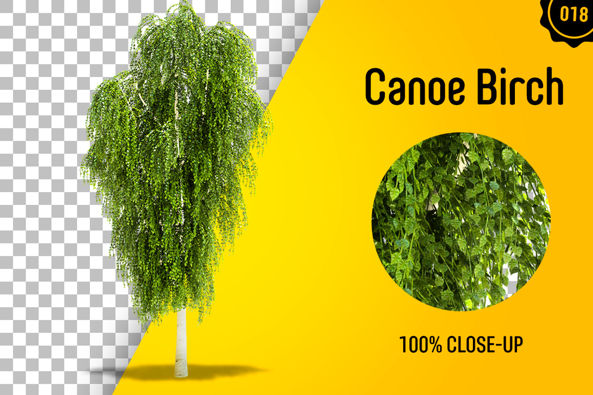 CUT OUT TREES - 60 PCS BUNDLE, a Packaging Mockup by 3DSTORE (Photo 19 of 63)