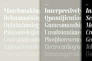 Gabriela Stencil Condensed, a Font by Lechuga Type (Thumbnail 3 of 17)
