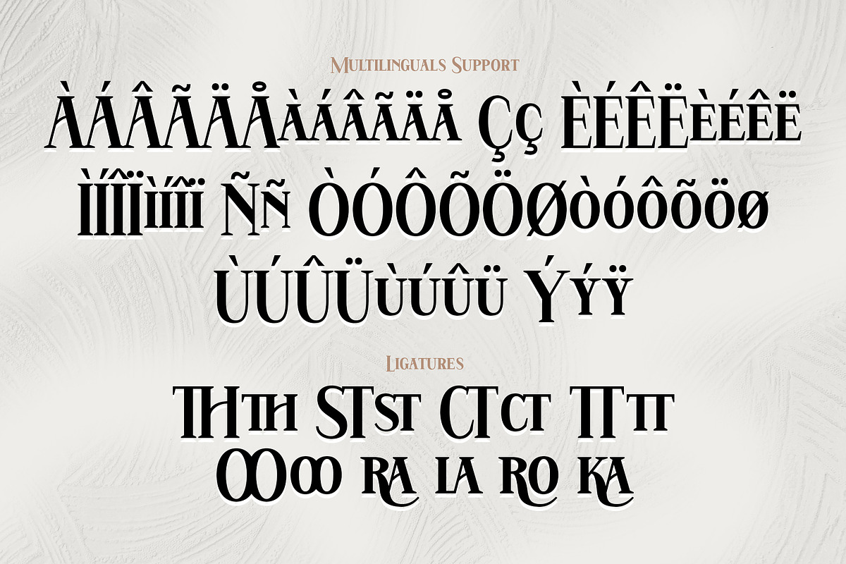 Hatem, a Serif Font by Drizy (Photo 10 of 11)