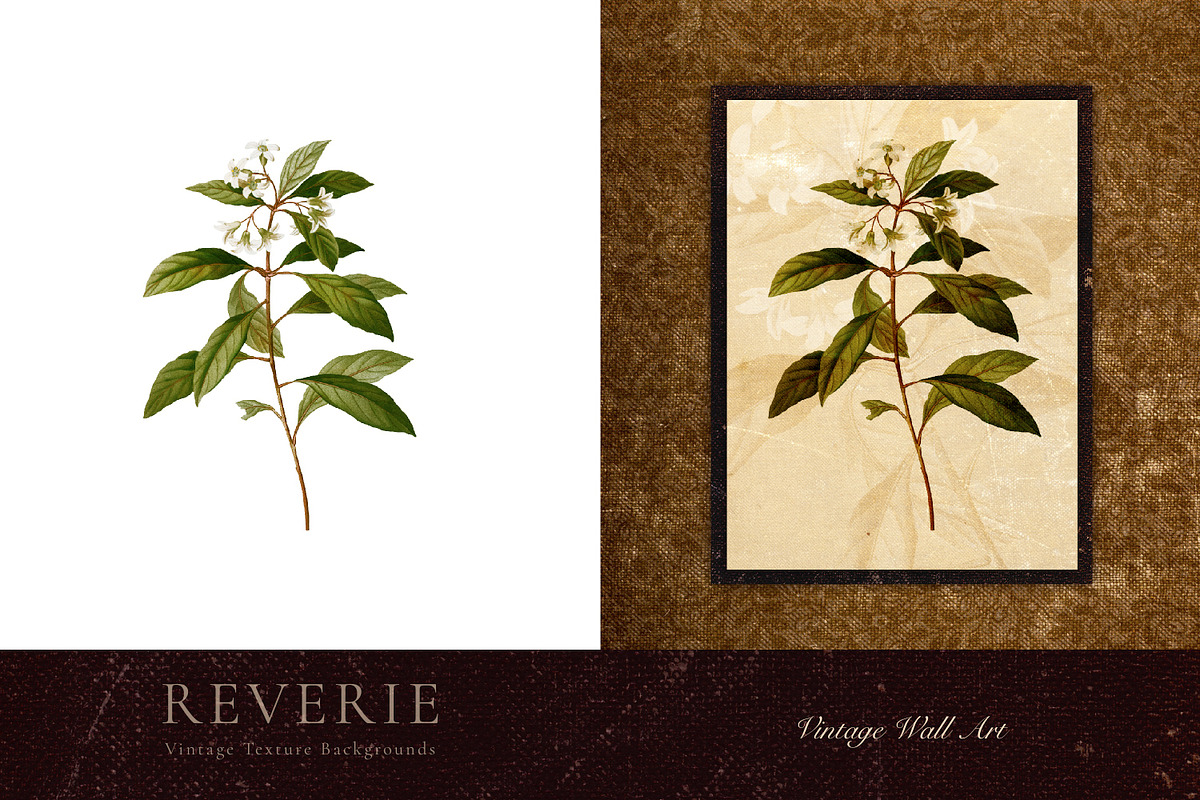 Authentic Vintage Paper Backgrounds, a Background Graphic by Eclectic Anthology (Photo 13 of 13)