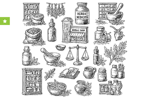 Herbal Medicine Sketch Set, an Object Graphic by RT Studio