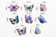 Butterfly Watercolor Floral Clipart, a Decorative Illustration by ClipArtRoom (Thumbnail 2 of 5)