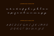 Elegance Wedding – Veilglos Font, a Handwritten Font by Stylin Studio (Thumbnail 3 of 9)