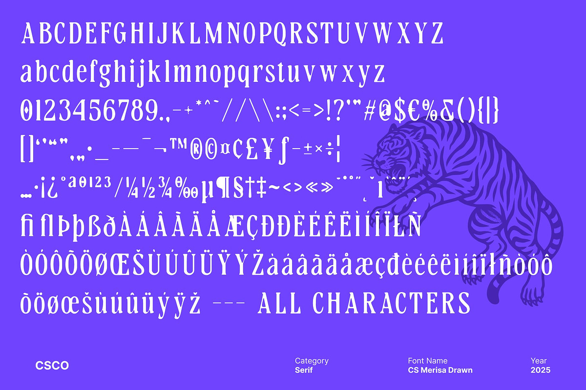 CS Merisa Drawn, a Serif Font by Craft Supply Co. (Photo 8 of 8)