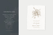 Floral Arrangements: Illustrations, an Illustration by Sarah Ann Design (Thumbnail 5 of 8)