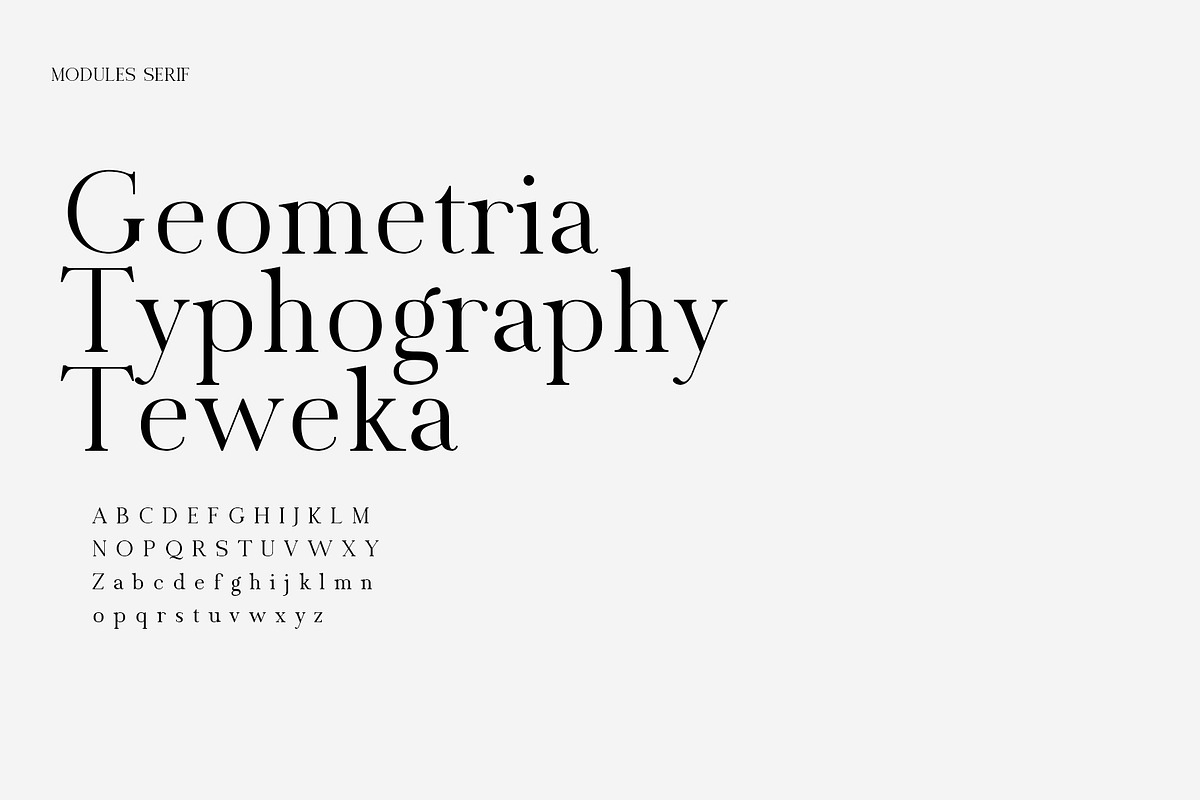 Vinland Serif, a Serif Font by Teweka (Photo 9 of 9)