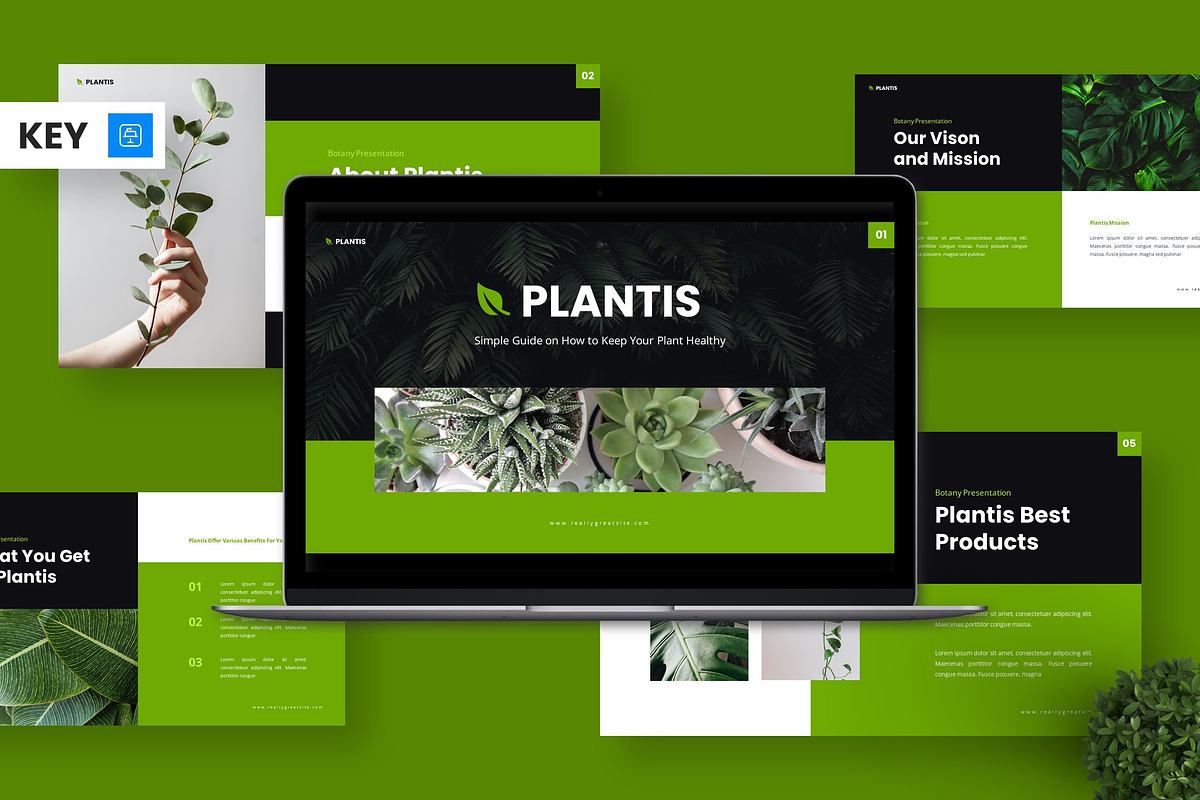 Plantis - Keynote Templates, a Presentation Template by Deepslide Studio (Photo 1 of 6)