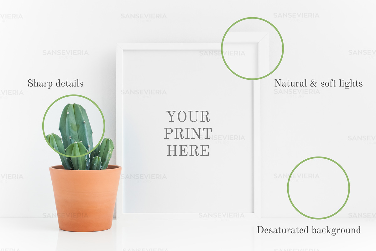 8x10 frame mockup white succulent 4:, a Print Template by Grace White (Photo 1 of 4)