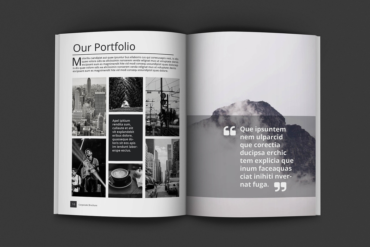 Black And White Proposal Project, a Brochure Template by feydesign (Photo 8 of 16)