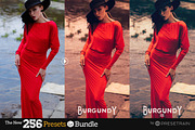 256 New Lightroom Preset Bundle, an Action Add-On by Presetrain Co. (Thumbnail 10 of 51)