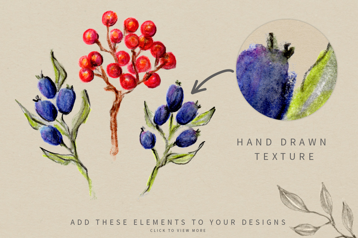 Feathers and Berries, an Illustration by Ingrid Marais Design (Photo 3 of 5)