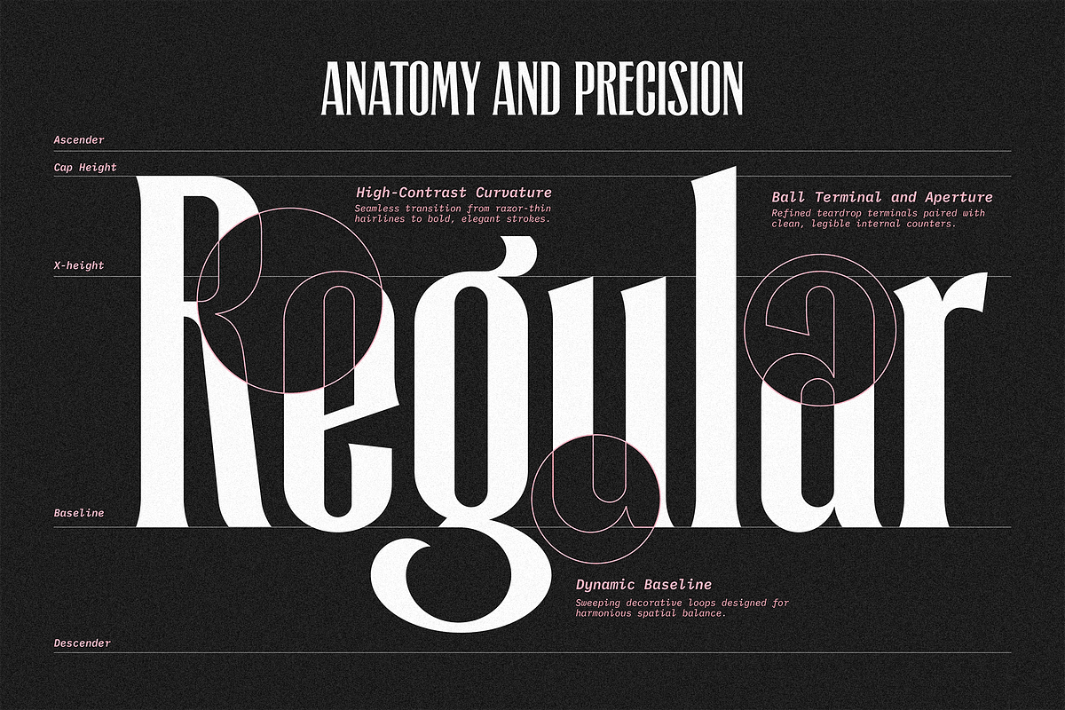 Mikayani Regular, a Serif Font by A.Budianto (Photo 3 of 8)