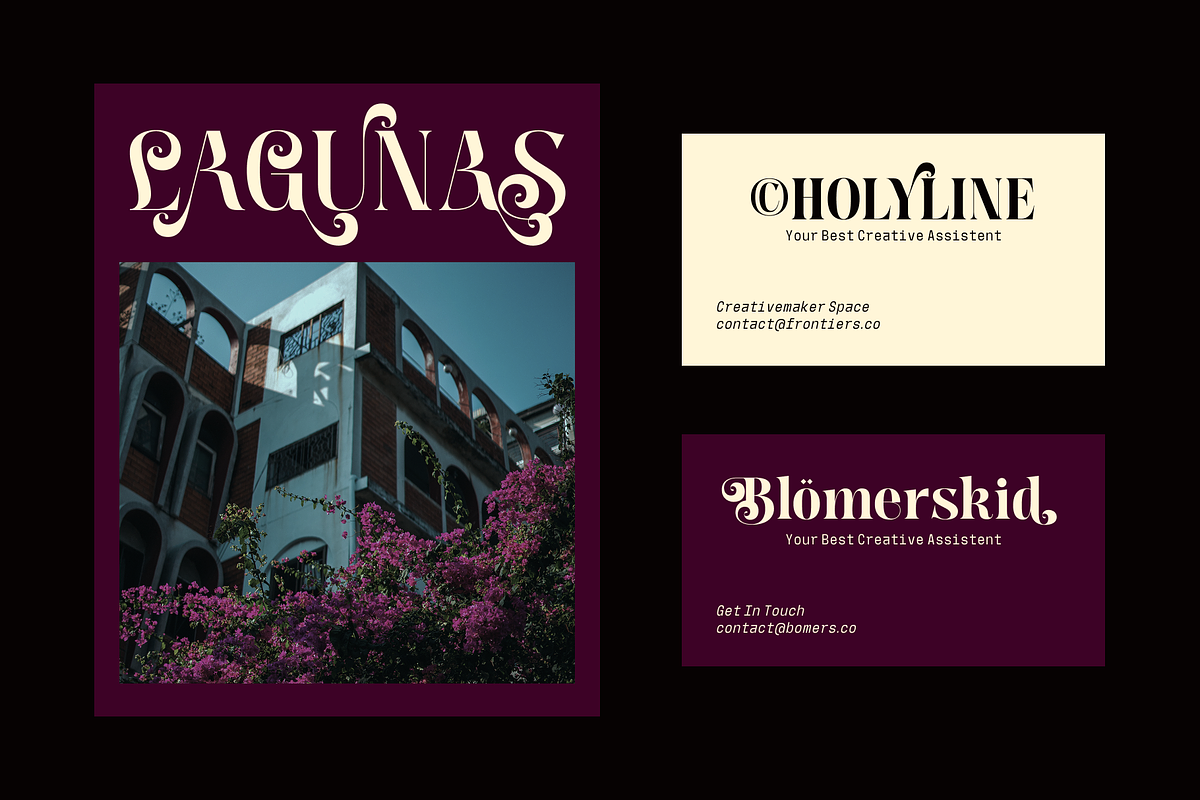 Meagre Display - 90s  Serif Family, a Serif Font by Holyline Design (Photo 8 of 15)