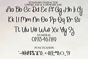 Beach Sunshine, a Script Font by InermediaSTUDIO (Thumbnail 7 of 8)