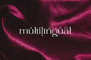 Velvet - Expanded & Elegant Serif, a Serif Font by Misha Sova (Thumbnail 8 of 8)