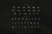 Thamy Elegant Serif Font, a Serif Font by Perfectype (Thumbnail 8 of 8)