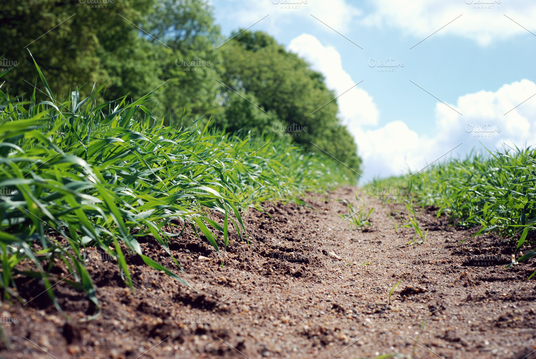 Farmers field featuring farming, field, and nature